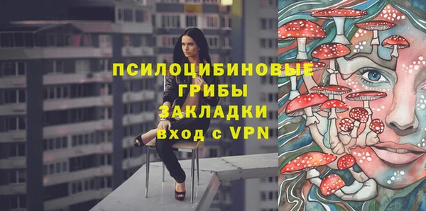 твердый Алексеевка
