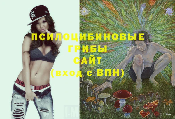 кокс Арсеньев