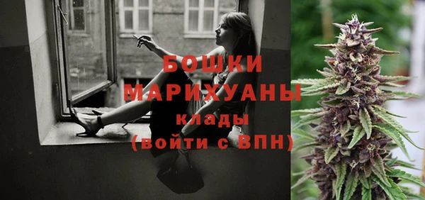 кокс Арсеньев